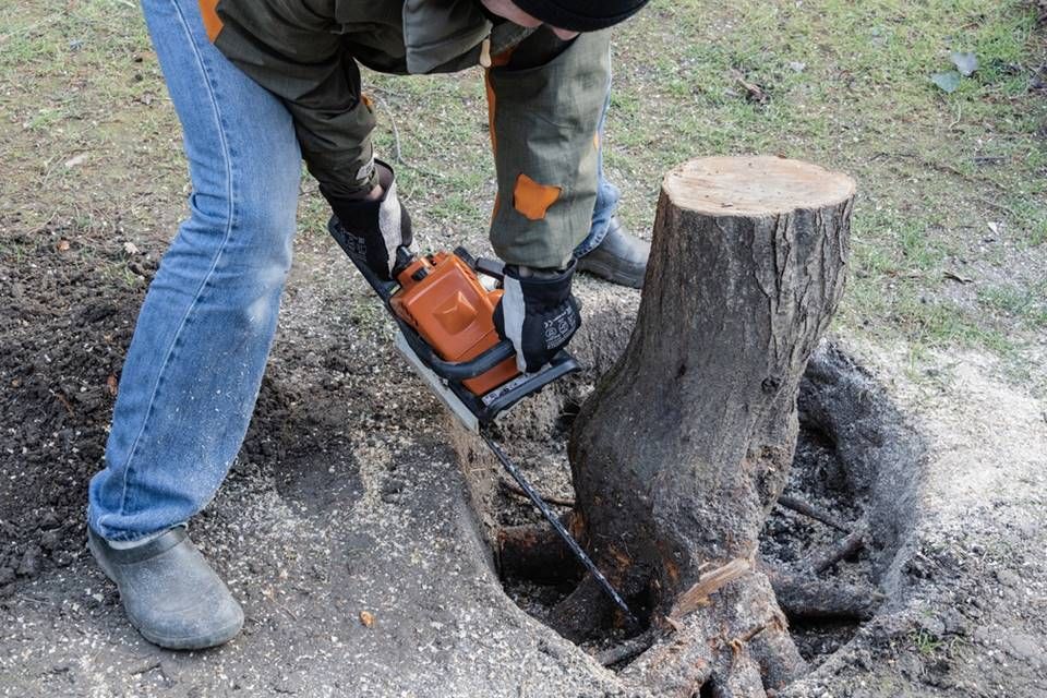 Stump removal Rondebosch