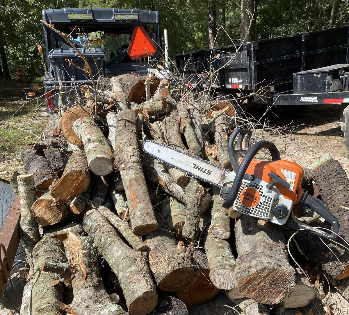 Tree removal Cape Town